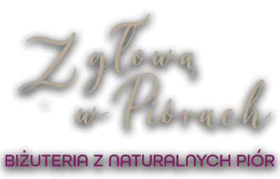 Z głową w piórach - logo